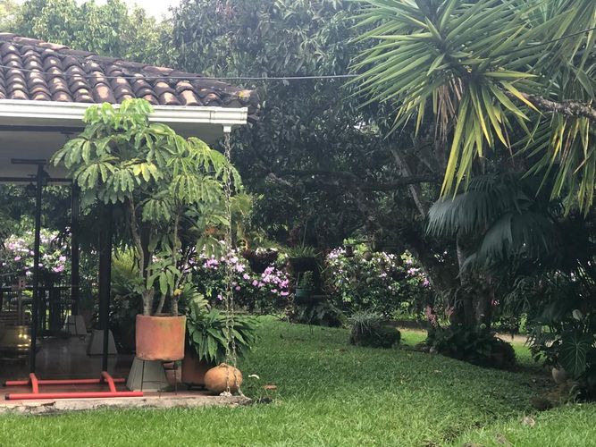 Lote en venta en Pance, Cali, 6971 m² · foto 9 de 19