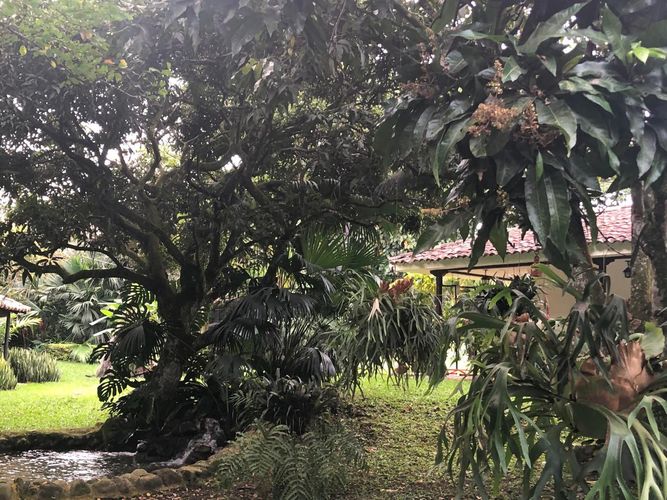 Lote en venta en Pance, Cali, 6971 m² · foto 10 de 19