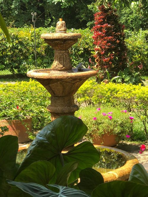 Lote en venta en Pance, Cali, 6971 m² · foto 15 de 19