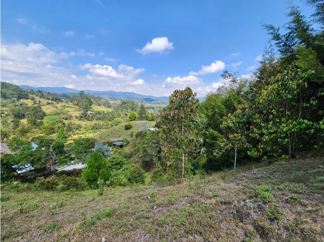 Lote en venta en Pantanillo, El Retiro, 3625 m² · foto 3 de 14