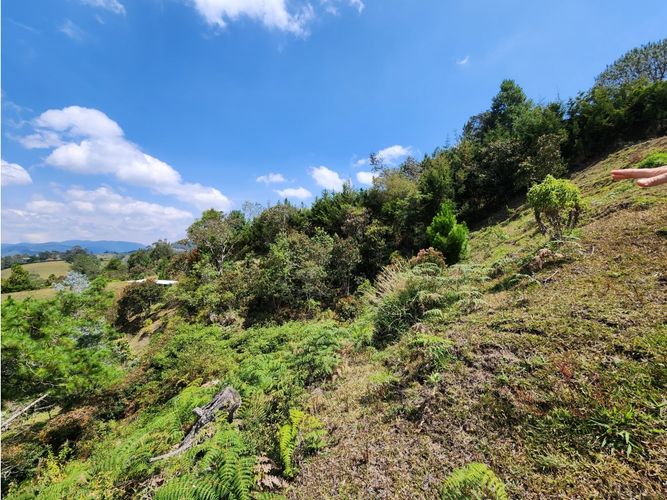 Lote en venta en Pantanillo, El Retiro, 3625 m² · foto 4 de 14
