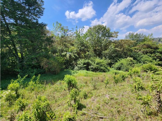 Lote en venta en Pantanillo, El Retiro, 3625 m² · foto 6 de 14