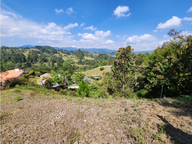 Lote en venta en Pantanillo, El Retiro, 3625 m² · foto 9 de 14