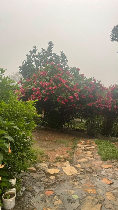 Casa en venta en La Riviera, Cúcuta · foto 2 de 17