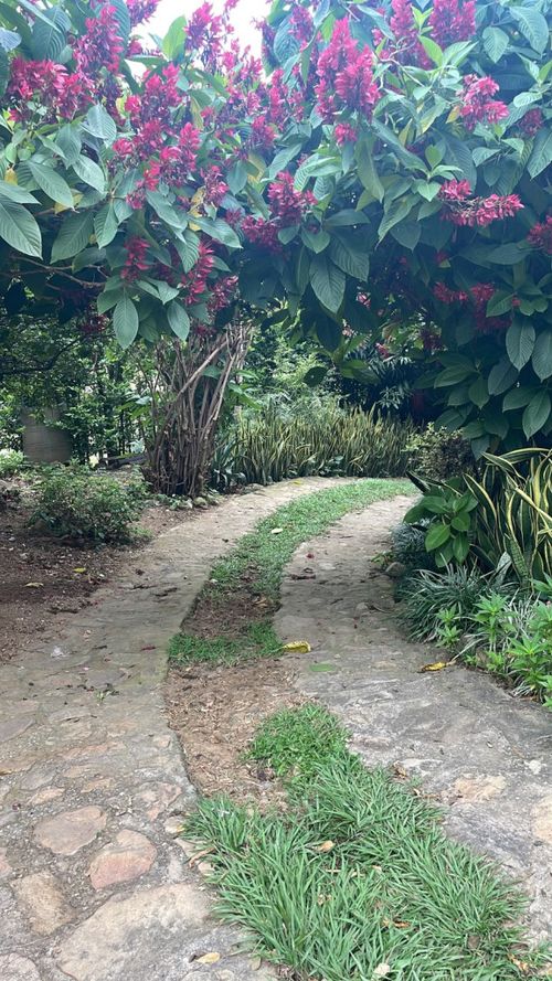 Casa en venta en La Riviera, Cúcuta · foto 7 de 17