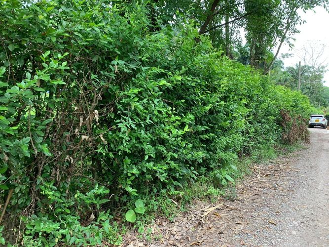 Lote en venta en Vanguardia, Villavicencio, 2000 m² · foto 9 de 15