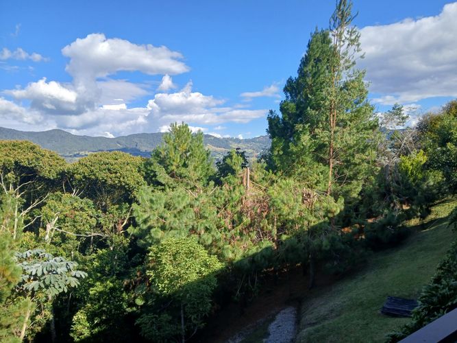 Casa de 3 alcobas en venta en La Ceja, 560 m² · foto 22 de 23