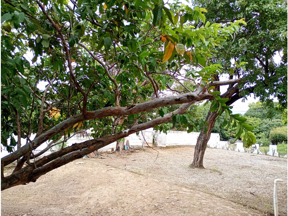 Casa en venta en Bonda Sector Macinga, Santa Marta · foto 11 de 20