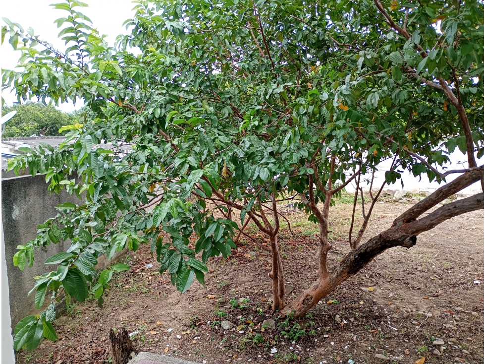 Casa en venta en Bonda Sector Macinga, Santa Marta · foto 12 de 20