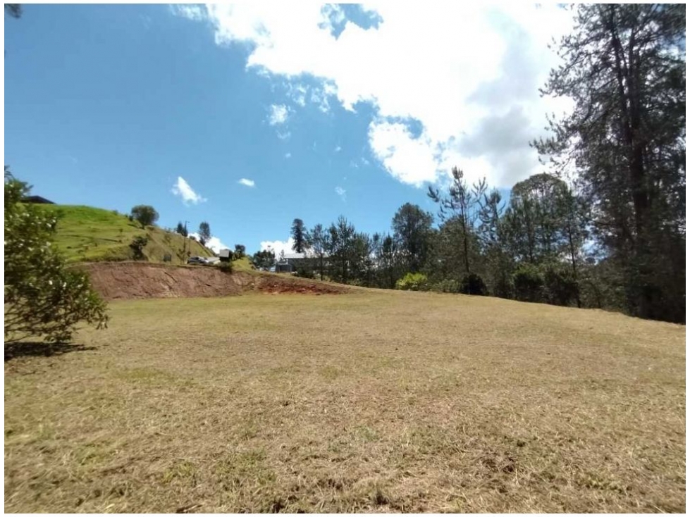 Land in Don diego for Sale