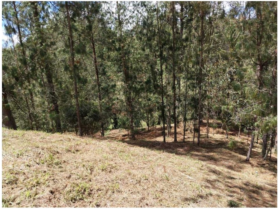 Land in Don diego for Sale - 3
