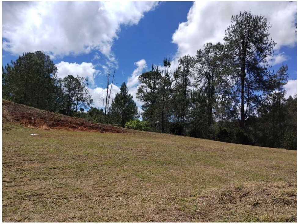 Land in Don diego for Sale - 4