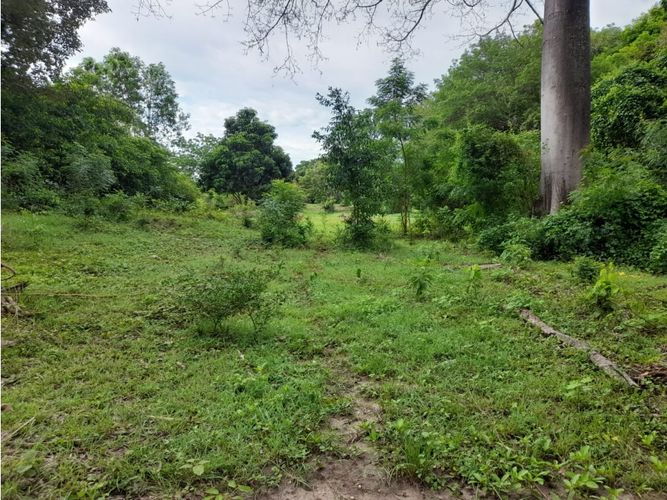 Lote en venta en Limoncitos, Ricaurte, 464 m² · foto 5 de 17