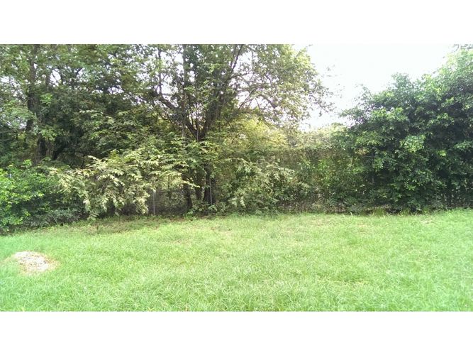 Lote en venta en Limoncitos, Ricaurte, 464 m² · foto 6 de 17