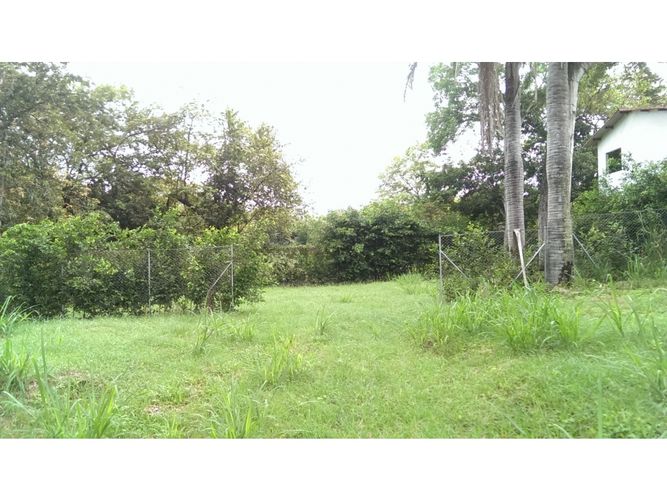 Lote en venta en Limoncitos, Ricaurte, 464 m² · foto 8 de 17