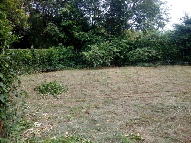 Lote en venta en Limoncitos, Ricaurte, 464 m² · foto 10 de 17