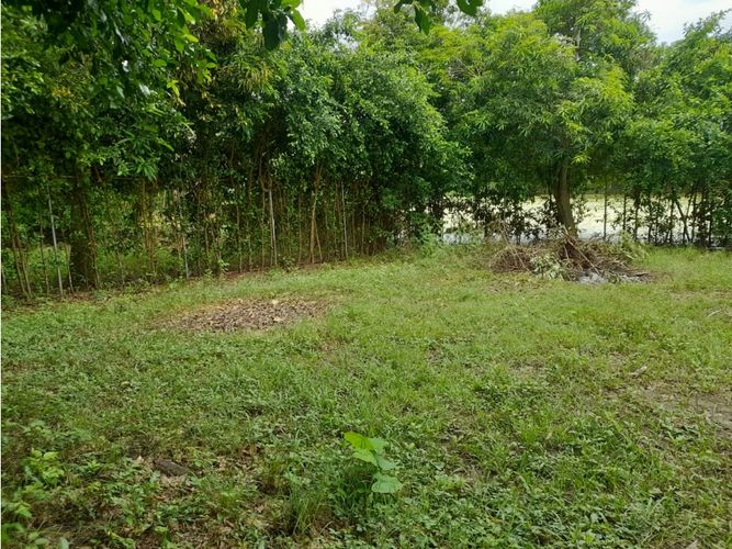 Lote en venta en Limoncitos, Ricaurte, 464 m² · foto 16 de 17