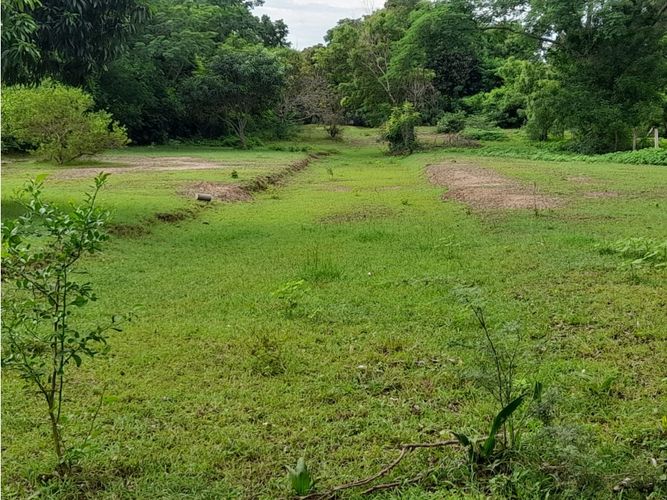 Lote en venta en Limoncitos, Ricaurte, 464 m² · foto 17 de 17