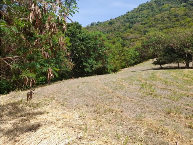 Lote en venta en Piamonte, Ricaurte, 6382 m² · foto 14 de 16