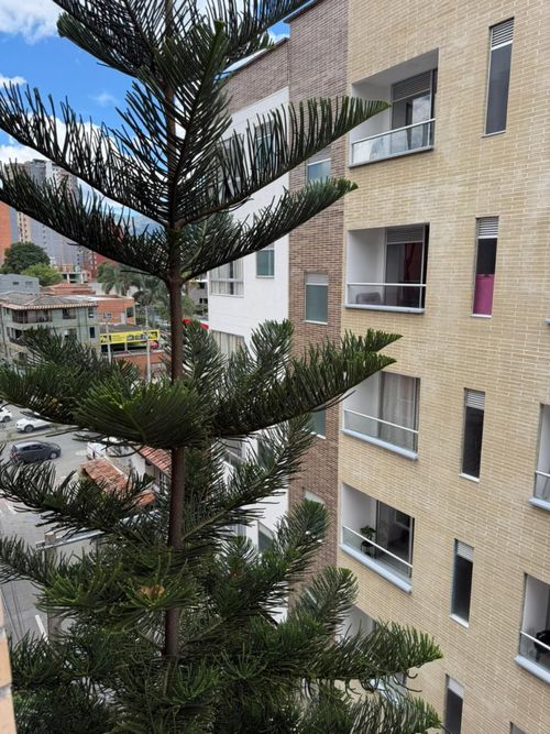 Apartaestudio en venta en Prados De Sabaneta, Sabaneta, 35 m² · foto 8 de 9