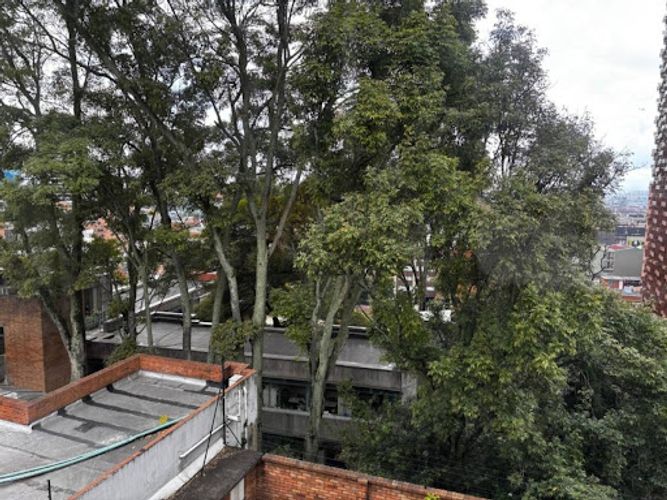 Apartamento de 3 alcobas en venta en Cataluna, Bogotá, 128 m² · foto 9 de 24