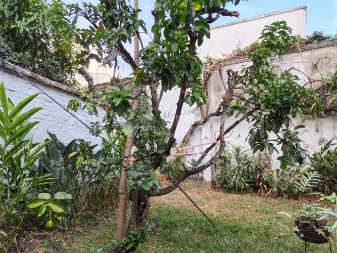 Casa de 6 alcobas en venta en Granada, Cali, 450 m² · foto 8 de 8