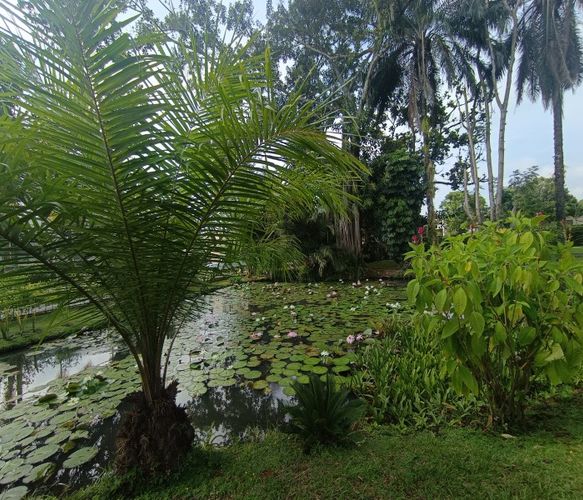 Lote en venta en Las Mercedes, Jamundí, 220 m² · foto 3 de 7