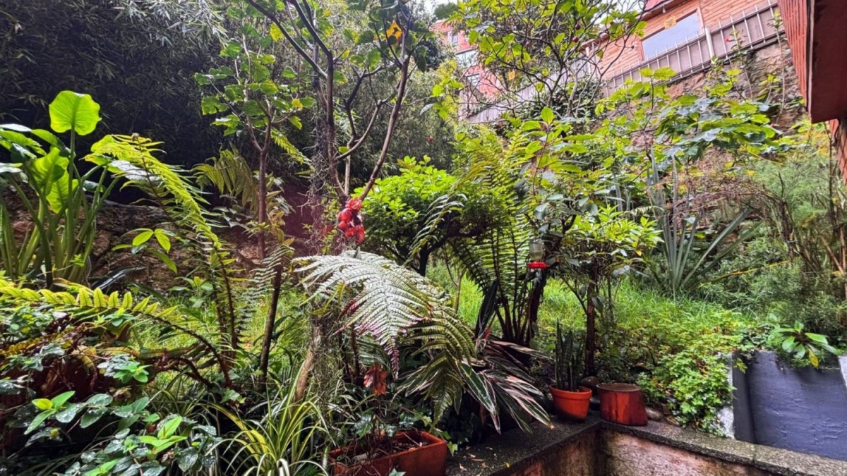 Apartamento en venta en Los Rosales, Bogotá · foto 11 de 22