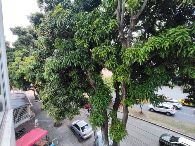 Edificio en arriendo en Eucaristico, Cali, 404 m² · foto 5 de 24