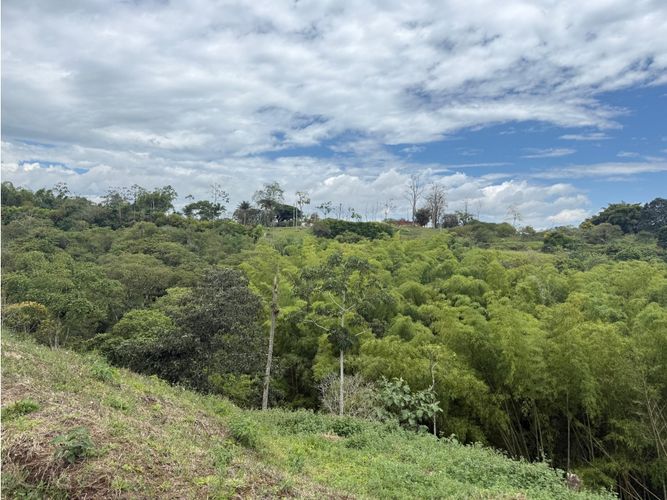 Lote en venta en Condina, Pereira, 2056 m² · foto 9 de 11
