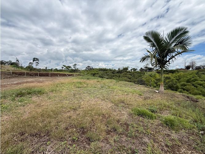Lote en venta en Condina, Pereira, 2056 m² · foto 11 de 11