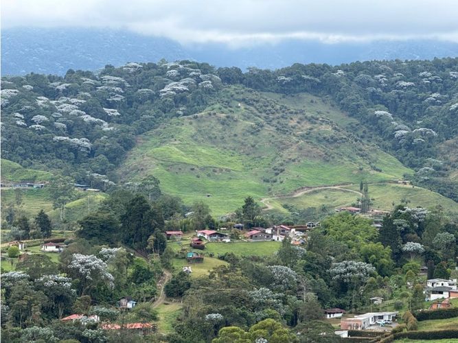 Lote en venta en Tribunas Corcega, Pereira, 2070 m² · foto 2 de 10