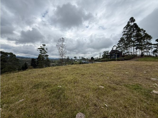 Lote en venta en Tribunas Corcega, Pereira, 2070 m² · foto 3 de 10