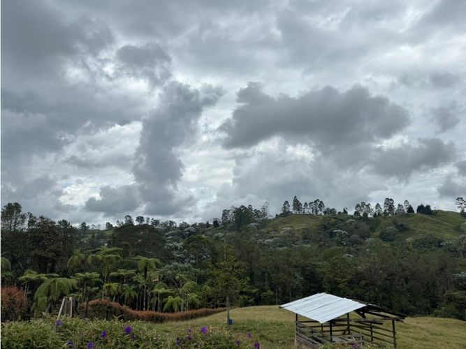 Lote en venta en Tribunas Corcega, Pereira, 2070 m² · foto 9 de 10