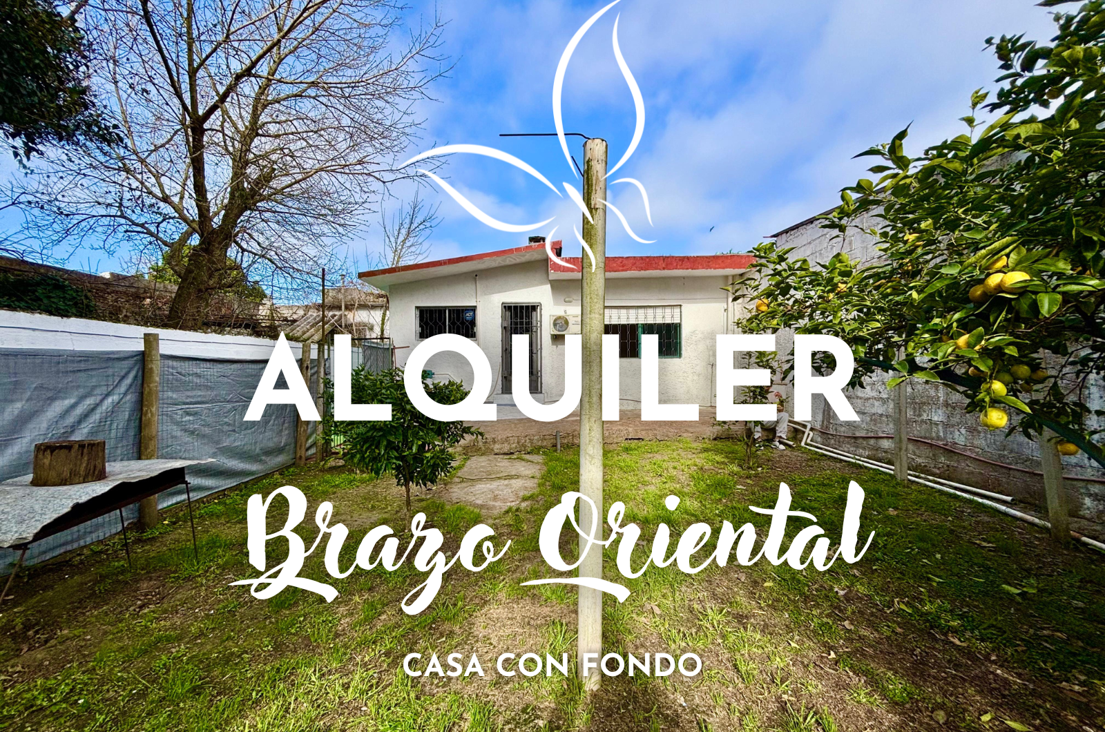 Alquilamos hermosa CASA con fondo de 80 m2 en Brazo Oriental.