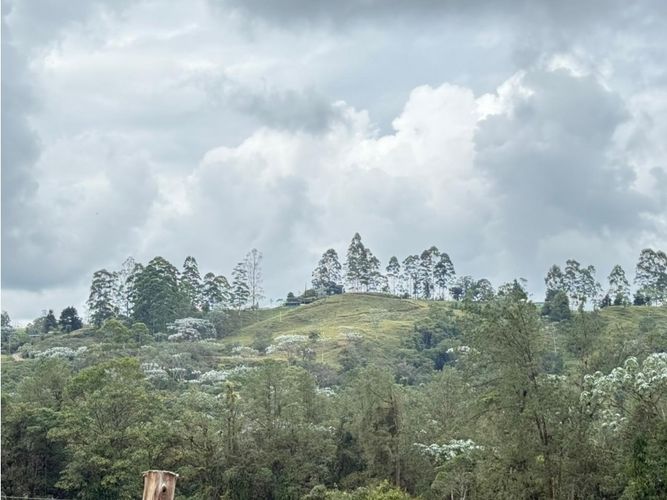 Finca en venta en Tribunas Corcega, Pereira, 100 m² · foto 3 de 21