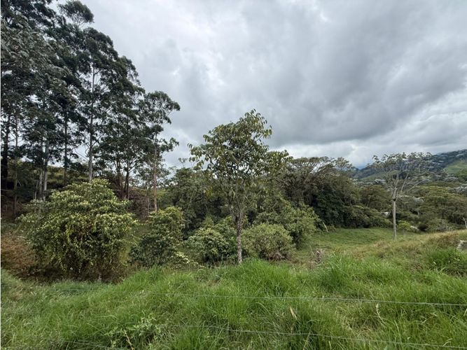 Finca en venta en Tribunas Corcega, Pereira, 100 m² · foto 4 de 21