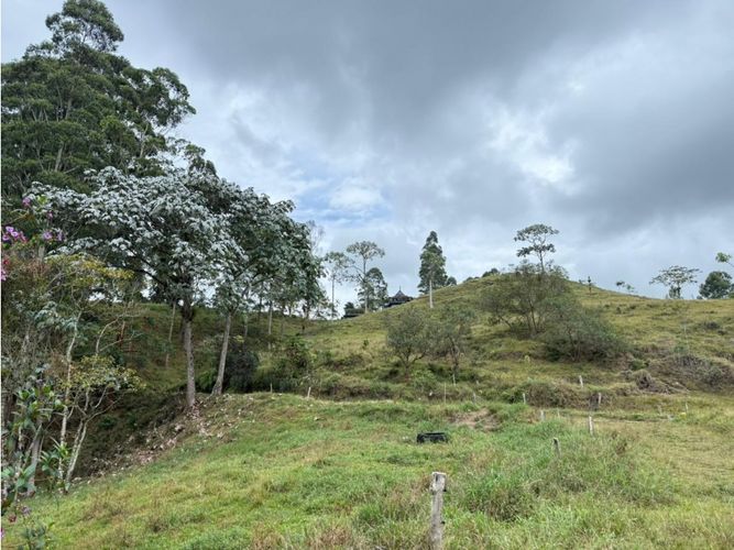 Finca en venta en Tribunas Corcega, Pereira, 100 m² · foto 5 de 21