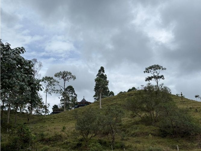 Finca en venta en Tribunas Corcega, Pereira, 100 m² · foto 6 de 21