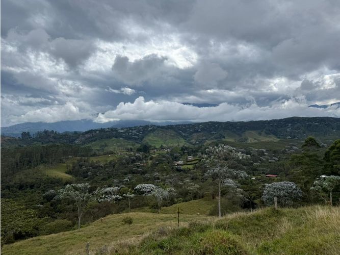 Finca en venta en Tribunas Corcega, Pereira, 100 m² · foto 11 de 21