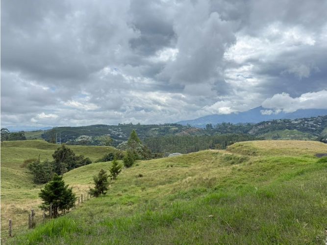 Finca en venta en Tribunas Corcega, Pereira, 100 m² · foto 12 de 21