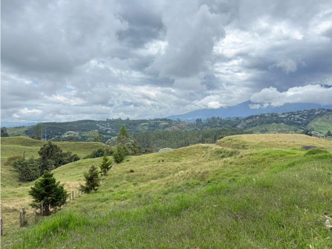 Finca en venta en Tribunas Corcega, Pereira, 100 m² · foto 13 de 21