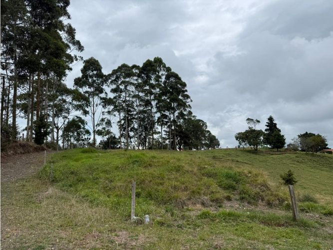 Finca en venta en Tribunas Corcega, Pereira, 100 m² · foto 14 de 21