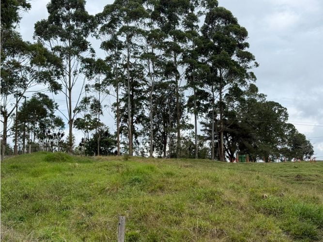 Finca en venta en Tribunas Corcega, Pereira, 100 m² · foto 15 de 21