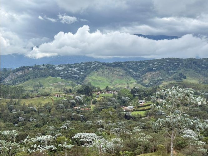 Finca en venta en Tribunas Corcega, Pereira, 100 m² · foto 18 de 21