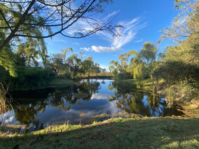 Lote en venta en Paso Real, La Calera, 81316 m² · foto 20 de 24