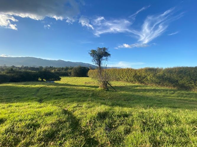 Lote en venta en Paso Real, La Calera, 81316 m² · foto 24 de 24