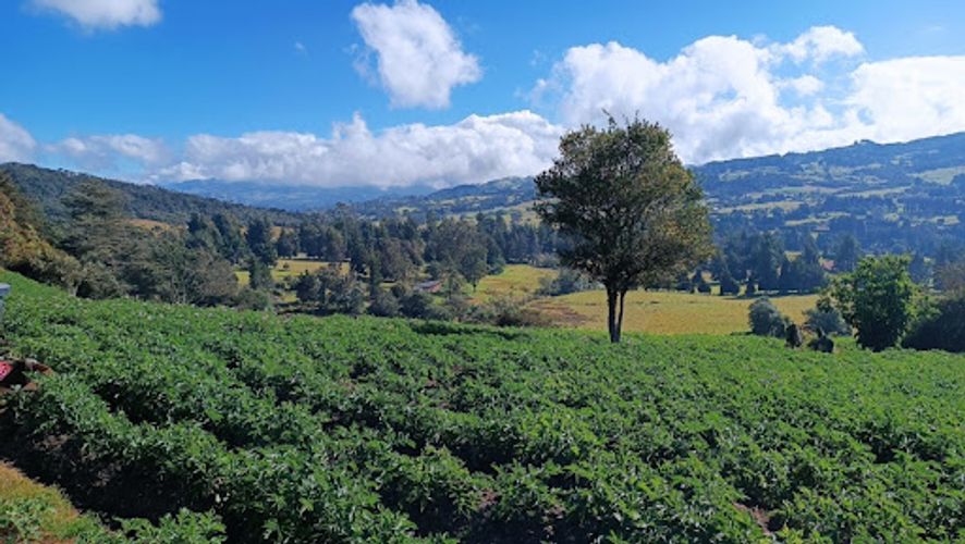 Lote en venta en Vereda El Salitre, La Calera, 5097 m² · foto 2 de 4