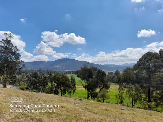 Lote en venta en Montana, Sopó, 10000 m² · foto 3 de 15