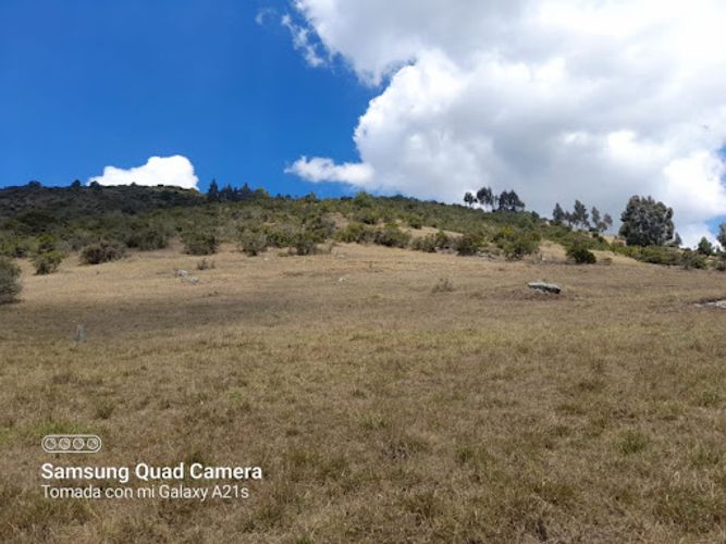 Lote en venta en Montana, Sopó, 10000 m² · foto 5 de 15